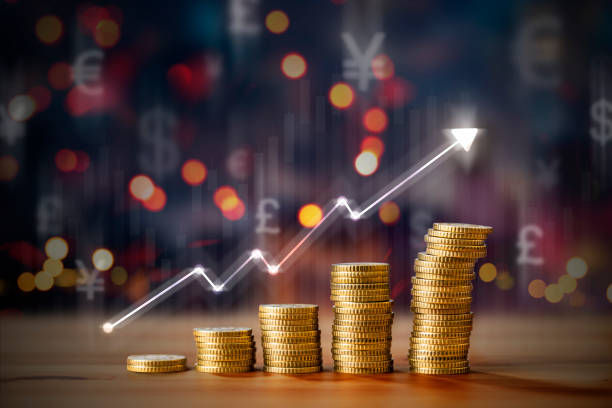 英属维尔京群岛：是否可以查询股东信息的全面解读 